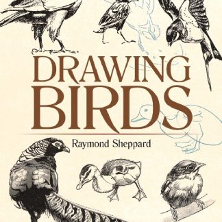 DRAWING BIRDS